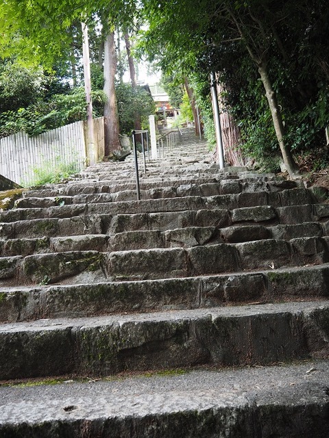 P6241269
