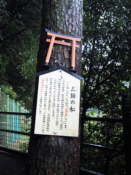 宝くじ当選の 南蔵院 では三鈷の松葉が拾い放題 福岡県糟屋郡 歴史めぐり 御朱印好きのあちこち紀行 宝くじ当選の 南蔵院 では三鈷の松葉が拾い放題 福岡県糟屋郡 歴史めぐり 御朱印好きのあちこち紀行