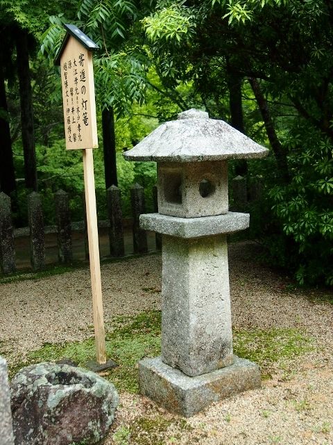P6053974 (640x480)