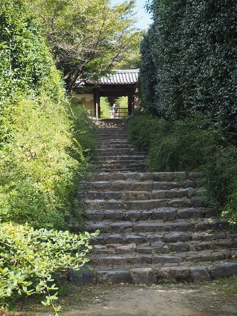 PA061230