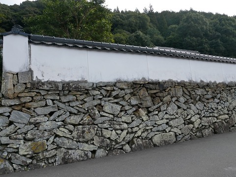 P1050290