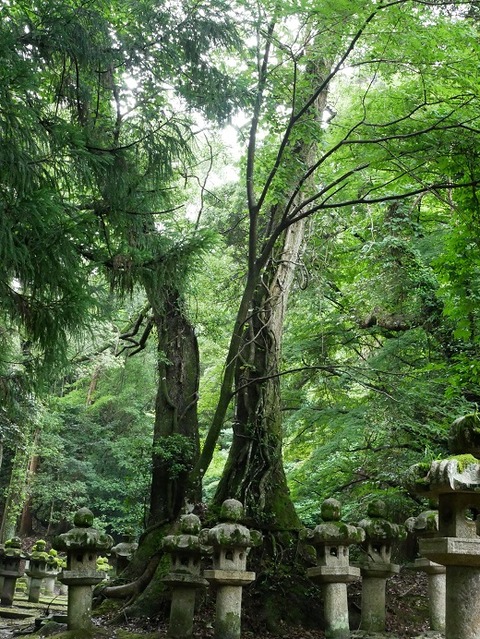 P1010126