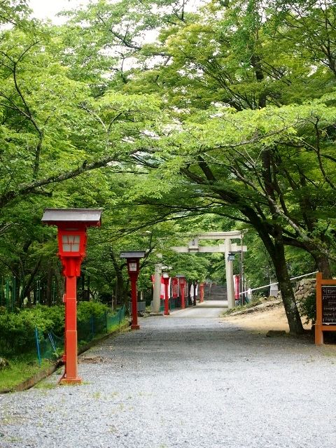P5283626 (640x480)