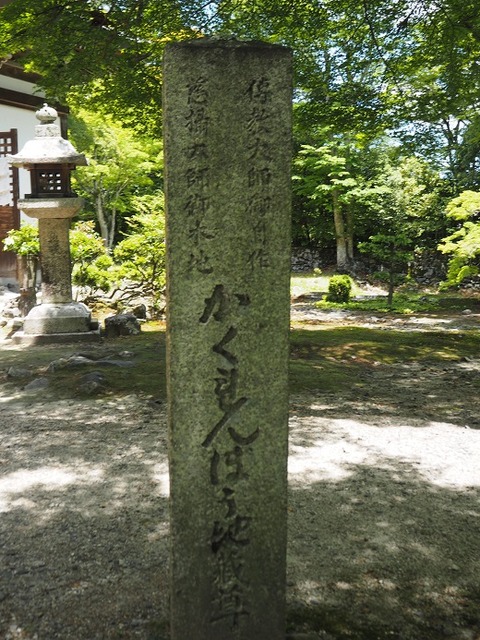 P6030267