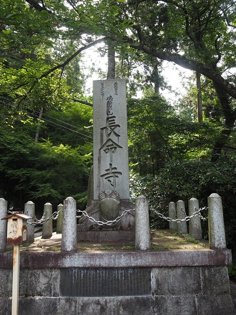 P6241265
