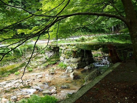 P5283600 (640x480)