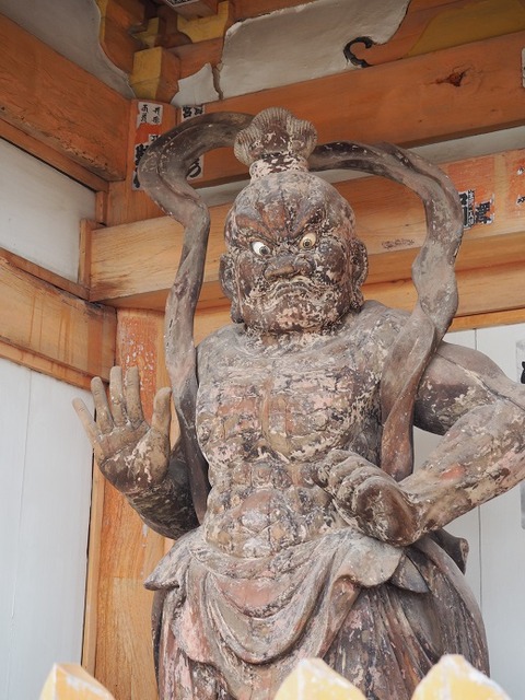 P6231093