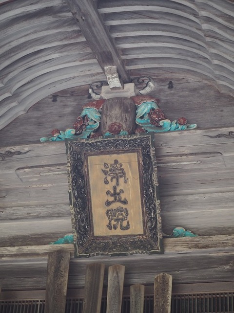 P6020203