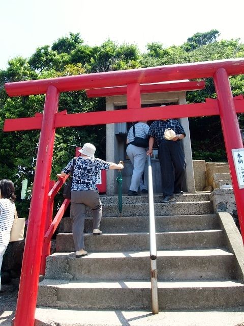 P6264420 (640x480)
