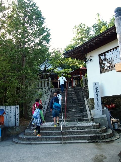 P5172784 (640x480)