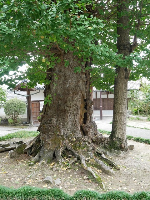 P1020409