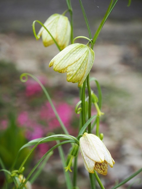 P3281378