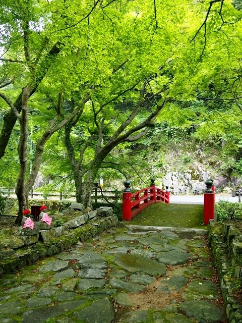 P5283599 (640x480)