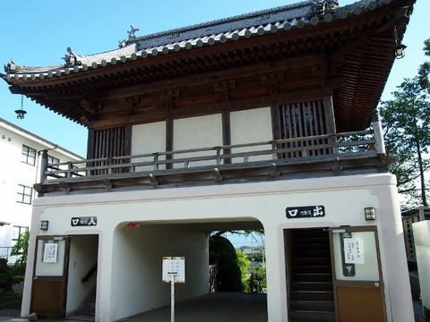 P5172791 (640x480)