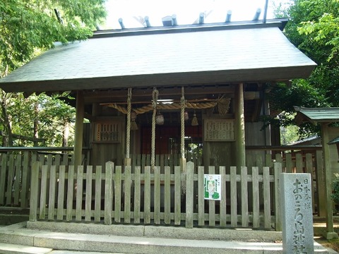 P4258970 (640x480)