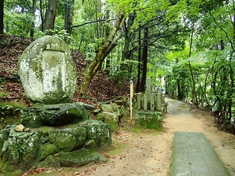 P6053979 (640x480)