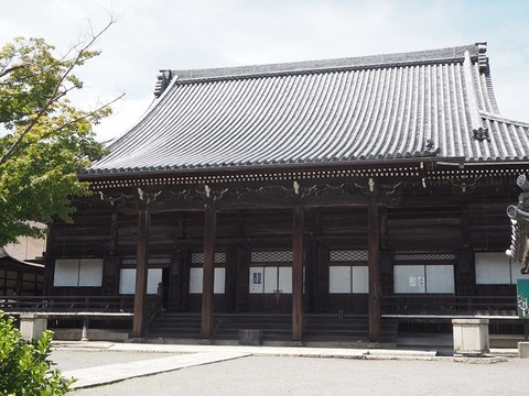 P6030332