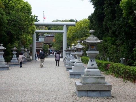 P4248872 (640x480)