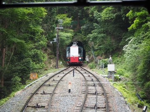 P6020005