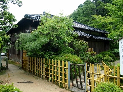 P6053999 (640x480)