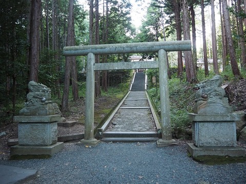 P9070124