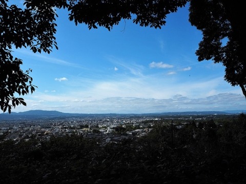 PA061242