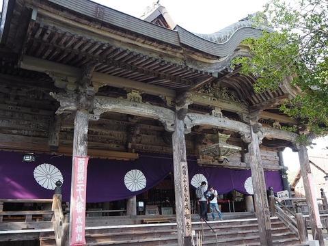 P9070086 (2)