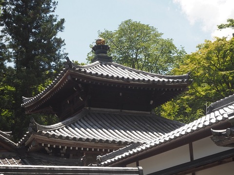 P6030330