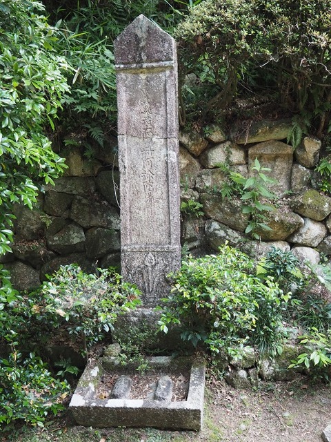 P6241302