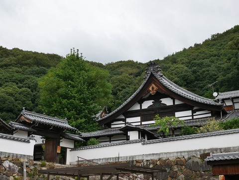 P1020398