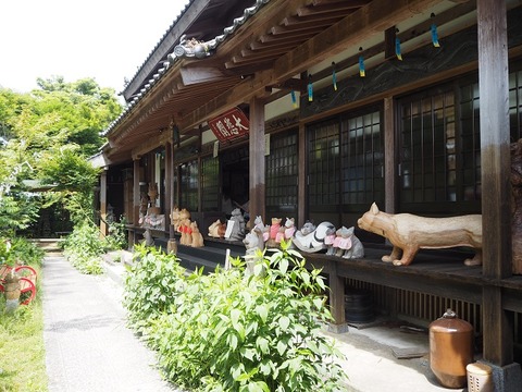 P6170828