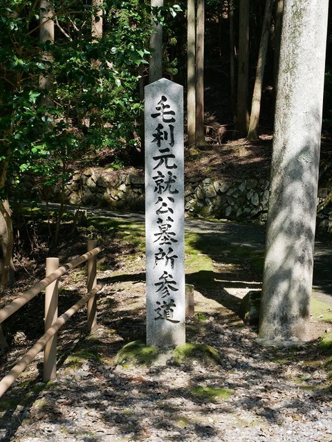 P1010567
