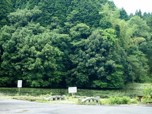 気になっていた月輪寺 がちりんじ にやっと行きました 山口県山口市 歴史めぐり 御朱印好きのあちこち紀行
