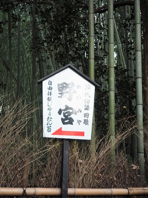PC020749