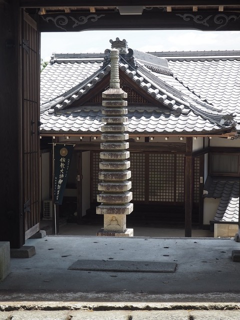 P6030262