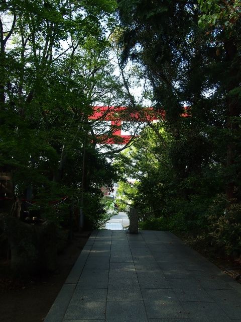 P4258975 (640x480)