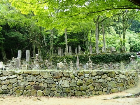 P5283628 (640x480)