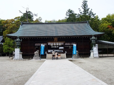 P4248882 (640x480)