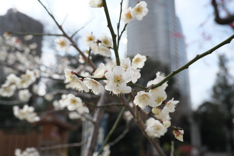 DSCF0078