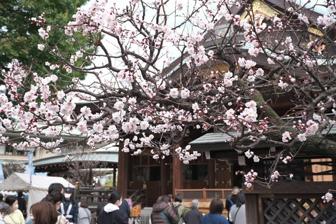 DSCF0079