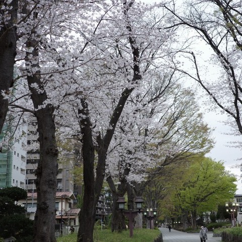 R0000601
