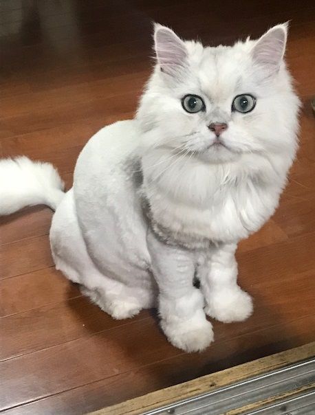 ¤¯¤¥2