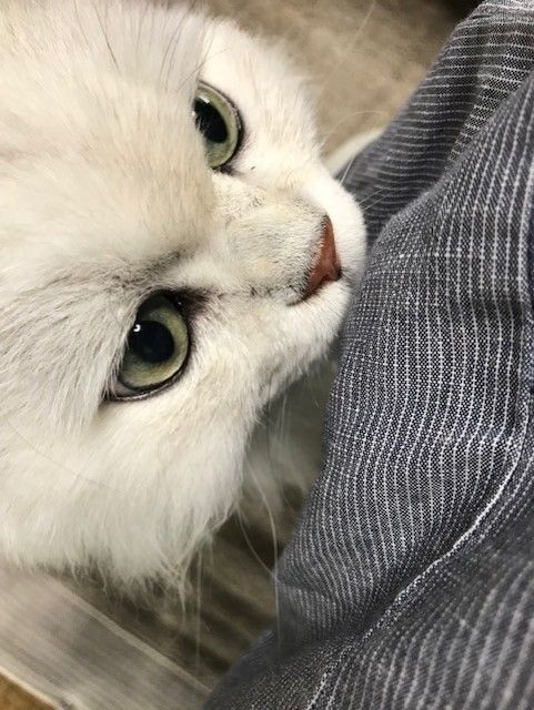 ¤¯¤¦