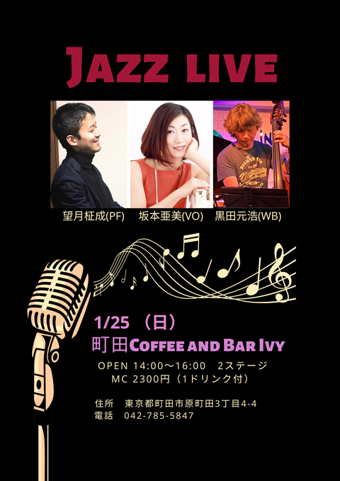 Black Minimalist Jazz Music Festival Flyer