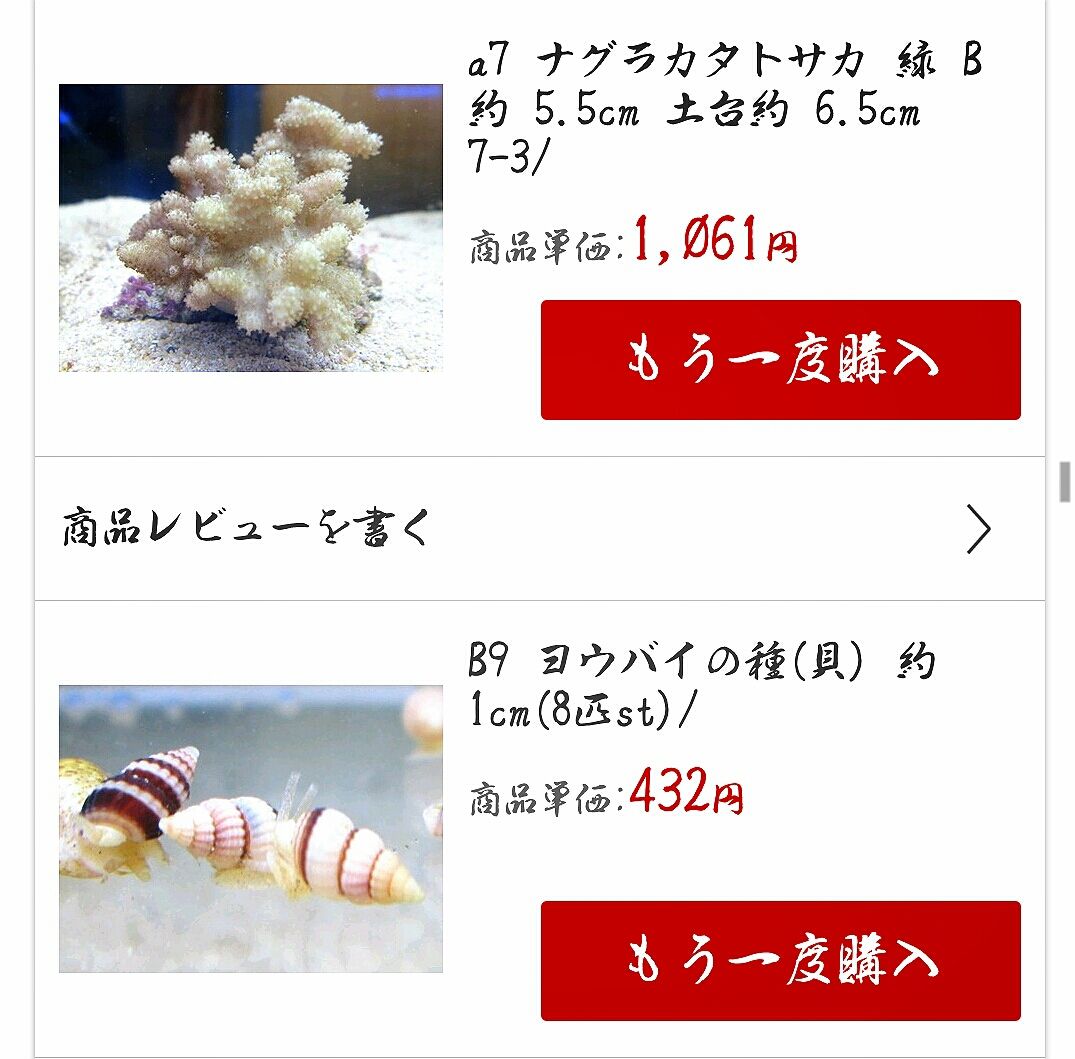 さかのぼりまして 7月6日のお話 よきにはからう Let S 海水水槽