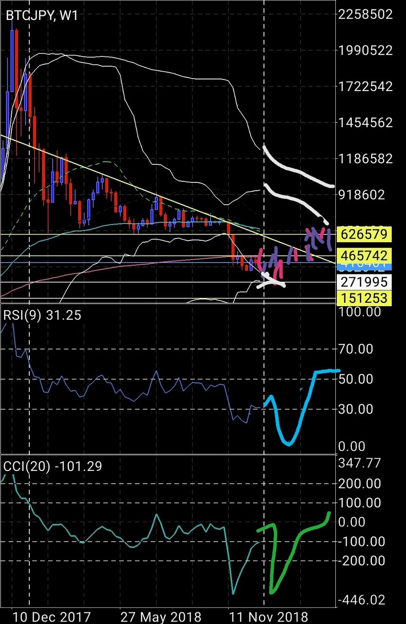 完全版絶対的中ビットコイン価格の底値予想2018年12月31日 : 今こそ狙い目のビットコイン☆素人からの人生一発逆転ブログ