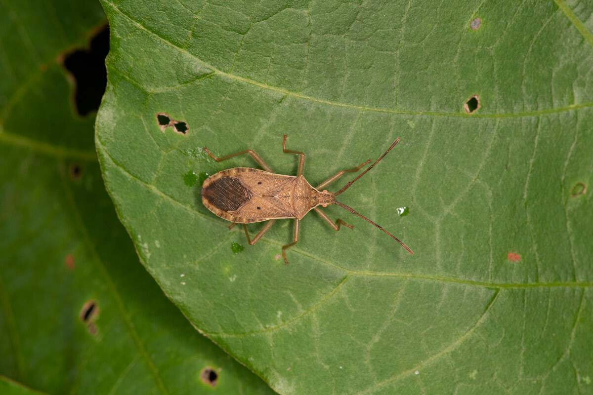 噛みそうな名前です 今日も師匠が撮れと言う