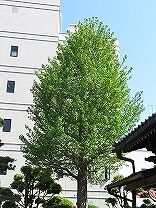IMG_1701