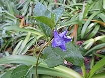 IMG_1583