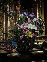 IMG_1755